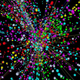 Image for article titled The Ultimate Field Guide to Subatomic Particles